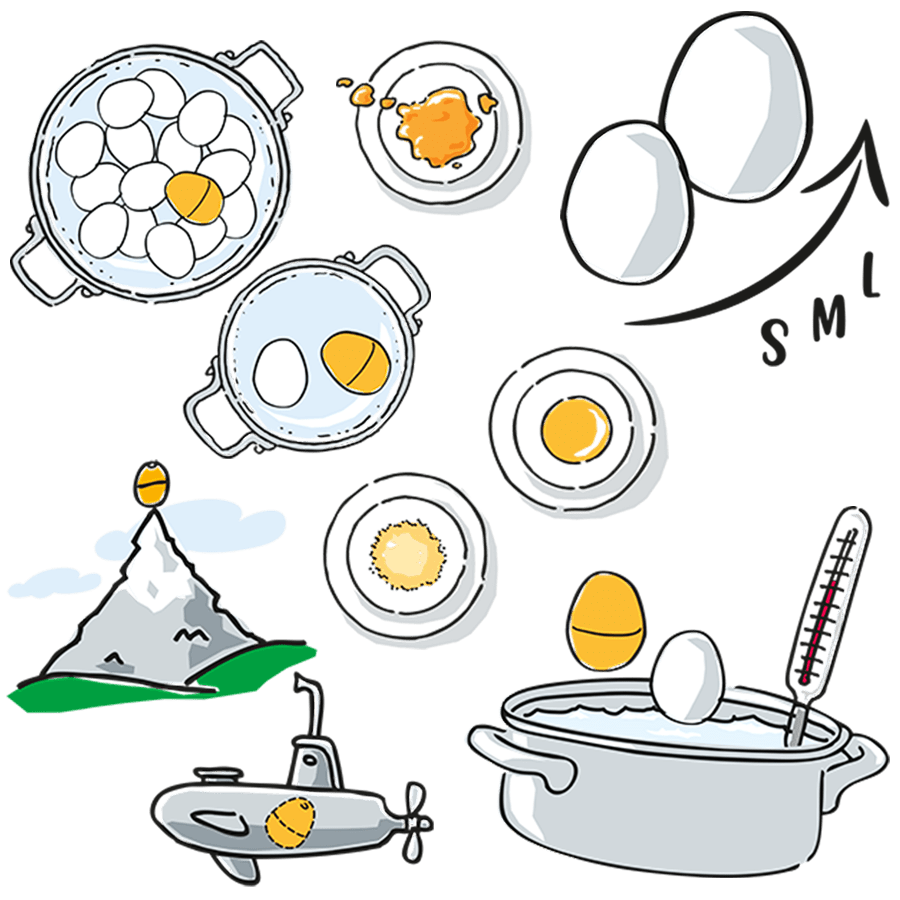 BEEP SINGING EGG TIMER NATURAL - DYKE & DEAN