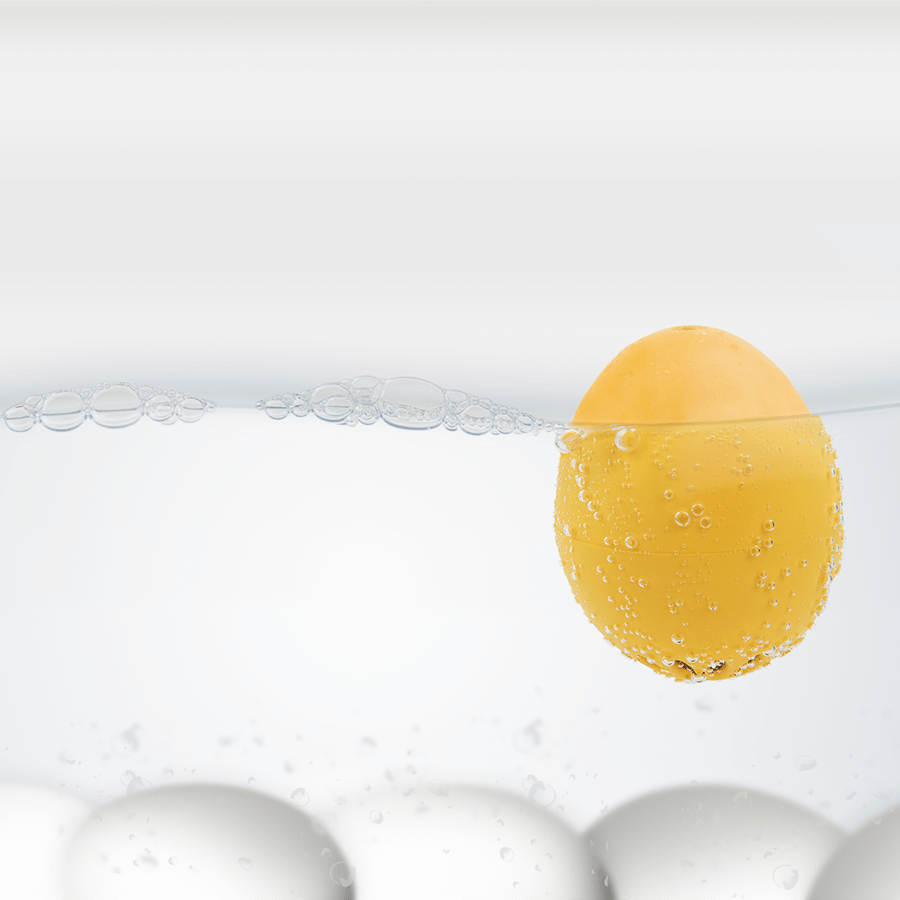 BEEP SINGING EGG TIMER YELLOW - DYKE & DEAN