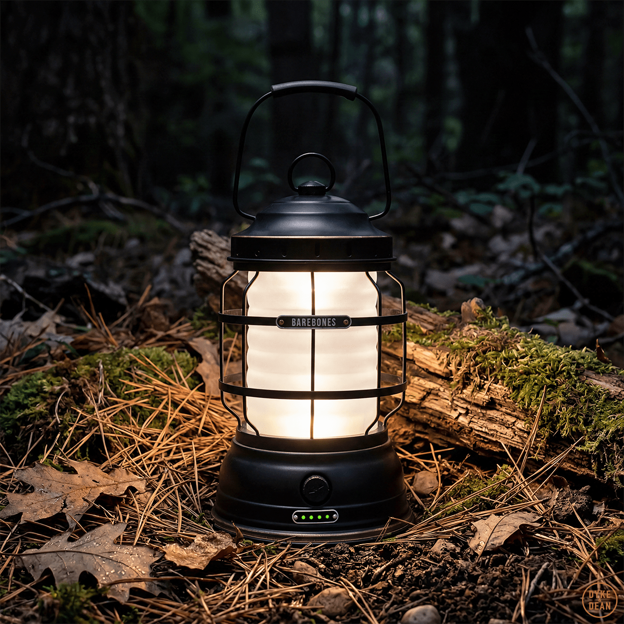 BLACK BRONZE FOREST LANTERN - DYKE & DEAN