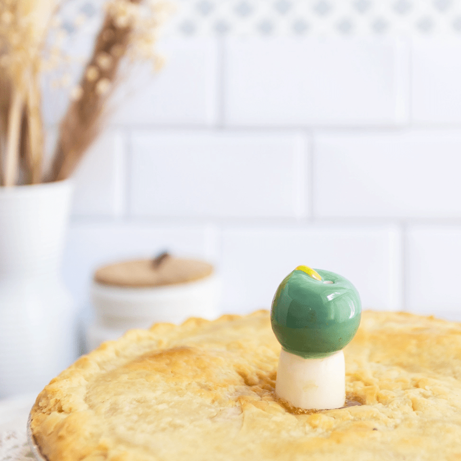 CERAMIC APPLE PIE VENT PIE BIRD - DYKE & DEAN
