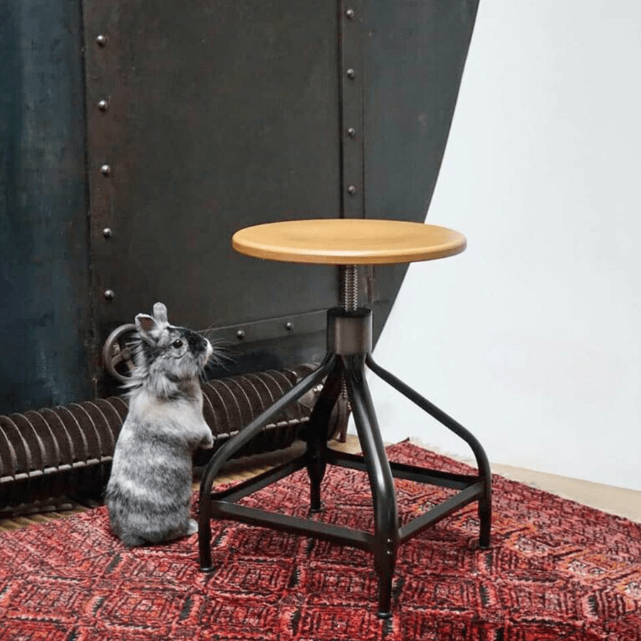 CHAISES NICOLLE TALL ADJUSTABLE SWIVEL STOOL - DYKE & DEAN