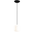 FLASK BLACK GLASS PENDANT LIGHT SMALL - DYKE & DEAN