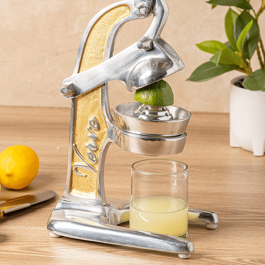 GOLD MEXICAN CITRUS JUICER - DYKE & DEAN
