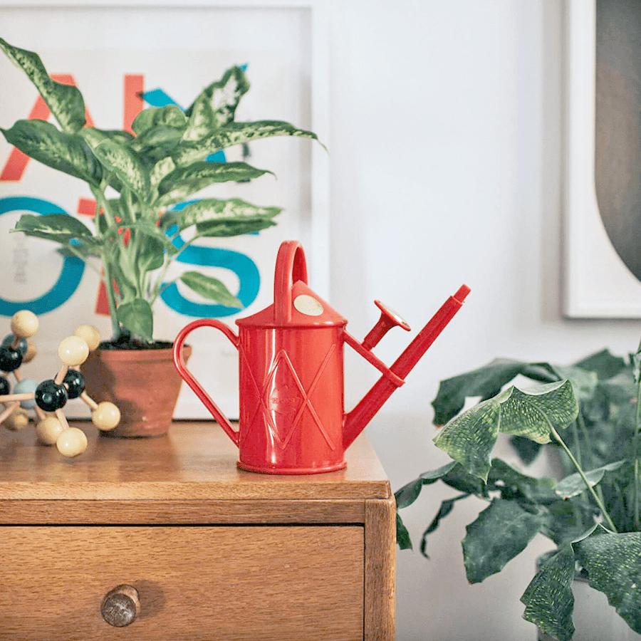 INDOOR PLASTIC WATERING CAN BLUE - DYKE & DEAN