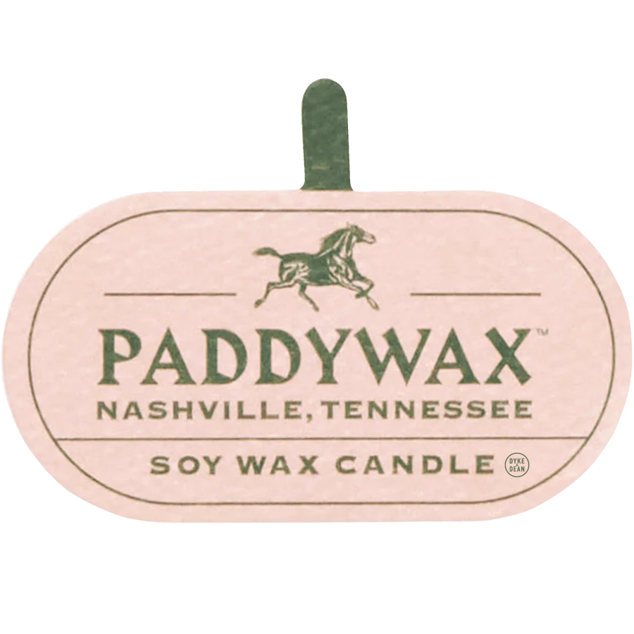 PADDYWAX VISTA CACTUS GREEN GLASS CANDLE CACTUS FLOWER & ALOE - DYKE & DEAN