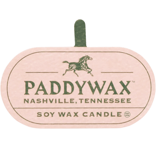 PADDYWAX VISTA CACTUS GREEN GLASS CANDLE CACTUS FLOWER & ALOE - DYKE & DEAN