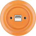 Carrot porcelain flush USB wall charger by Katy Paty