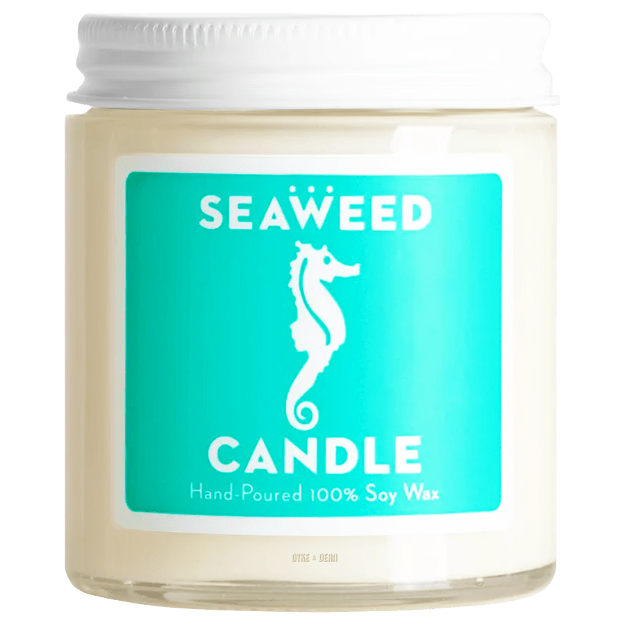 SWEDISH DREAM SEAWEED CANDLE CUTIE - DYKE & DEAN