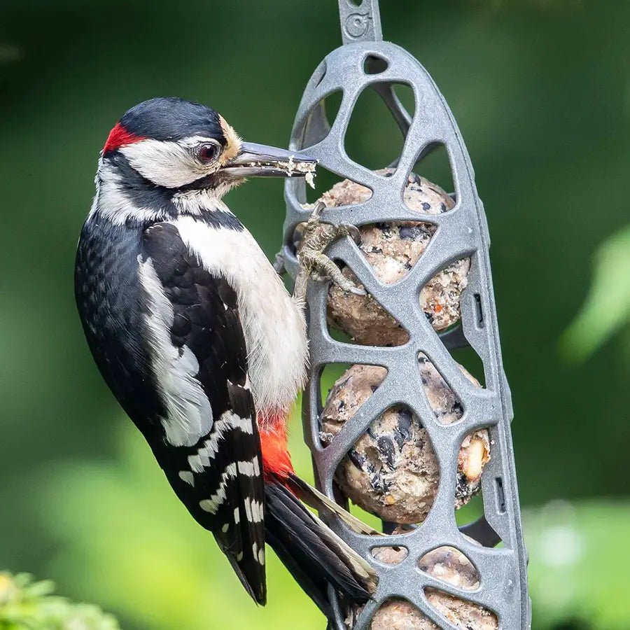 100% RECYCLED BIRD FEEDER SAM - DYKE & DEAN