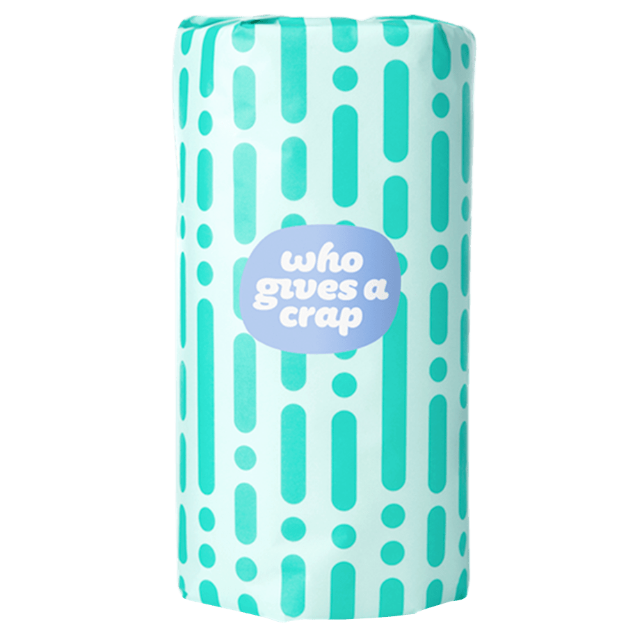 FOREST FRIENDLY PAPER TOWEL - DYKE & DEAN